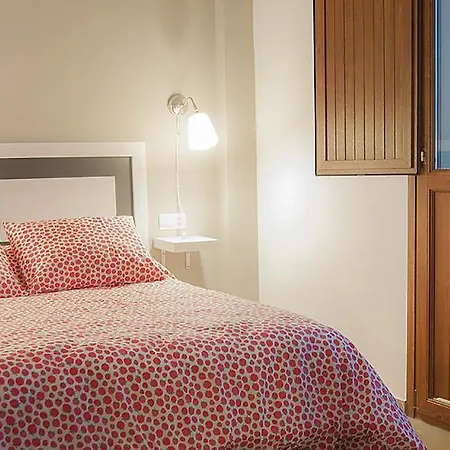Apartamentos Catedral Plaza 3000 *